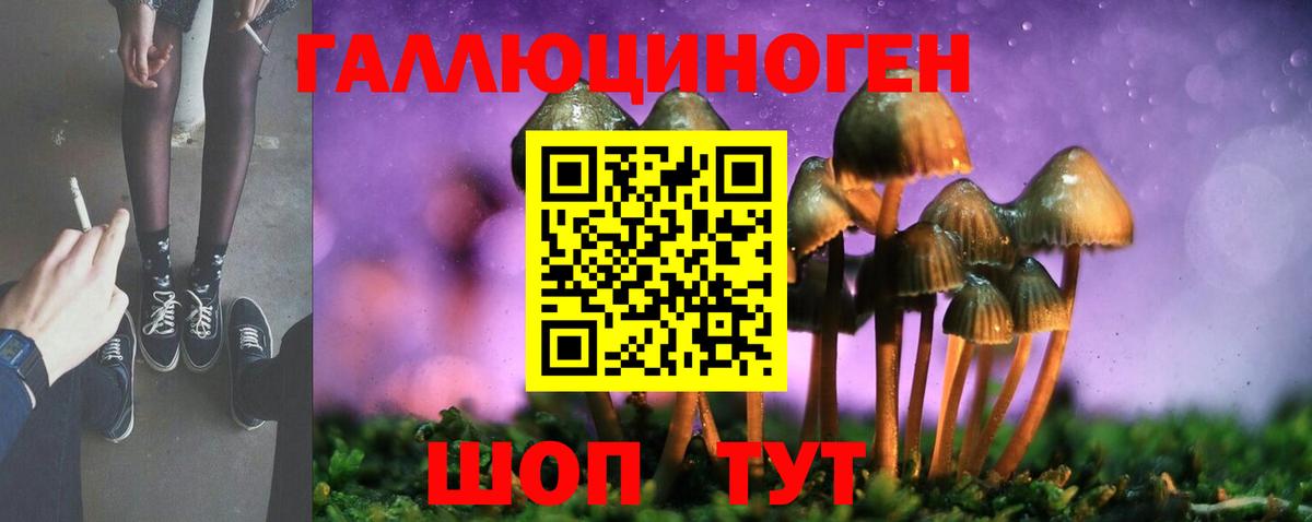 Галлюциногенные грибы мухоморы  Вход с VPN  Саянск 