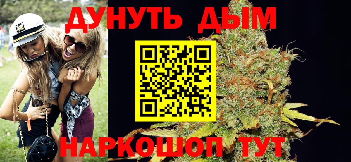 Конопля планчик Саянск
